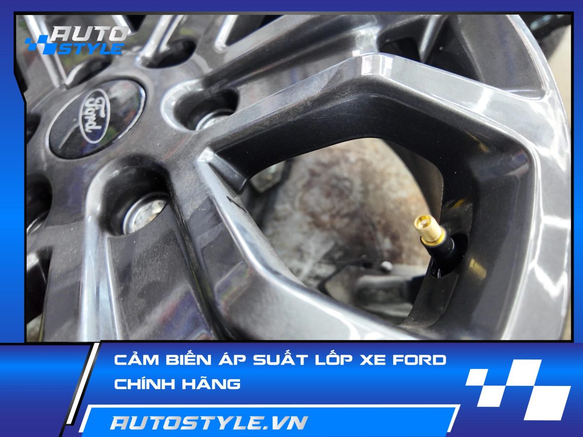 Cảm Biến Áp Suất Lốp Xe Ford Chính Hãng – Tối Ưu Cho Hệ Thống Gốc