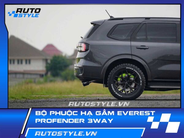 Bộ Phuộc Profender 3Way – Giải Pháp Hạ Gầm Everest