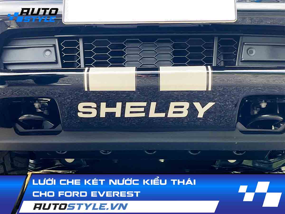 Review Lưới Che Két Nước Everest Kiểu Thái Lắp Cho Everest